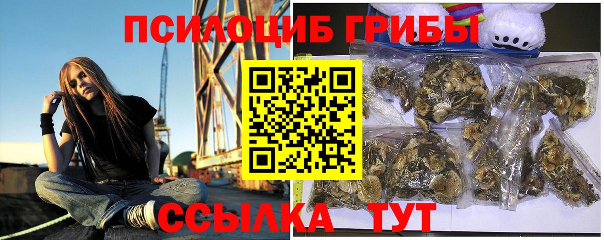 купить закладку  Псилоцибиновые грибы MAGIC MUSHROOMS  Сызрань  Вход с VPN  Галлюциногенные грибы прущие грибы 